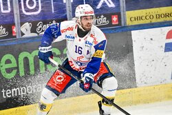 30407_berndwolf